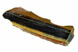 Polished Tiger's Eye Section - South Africa #148330-2